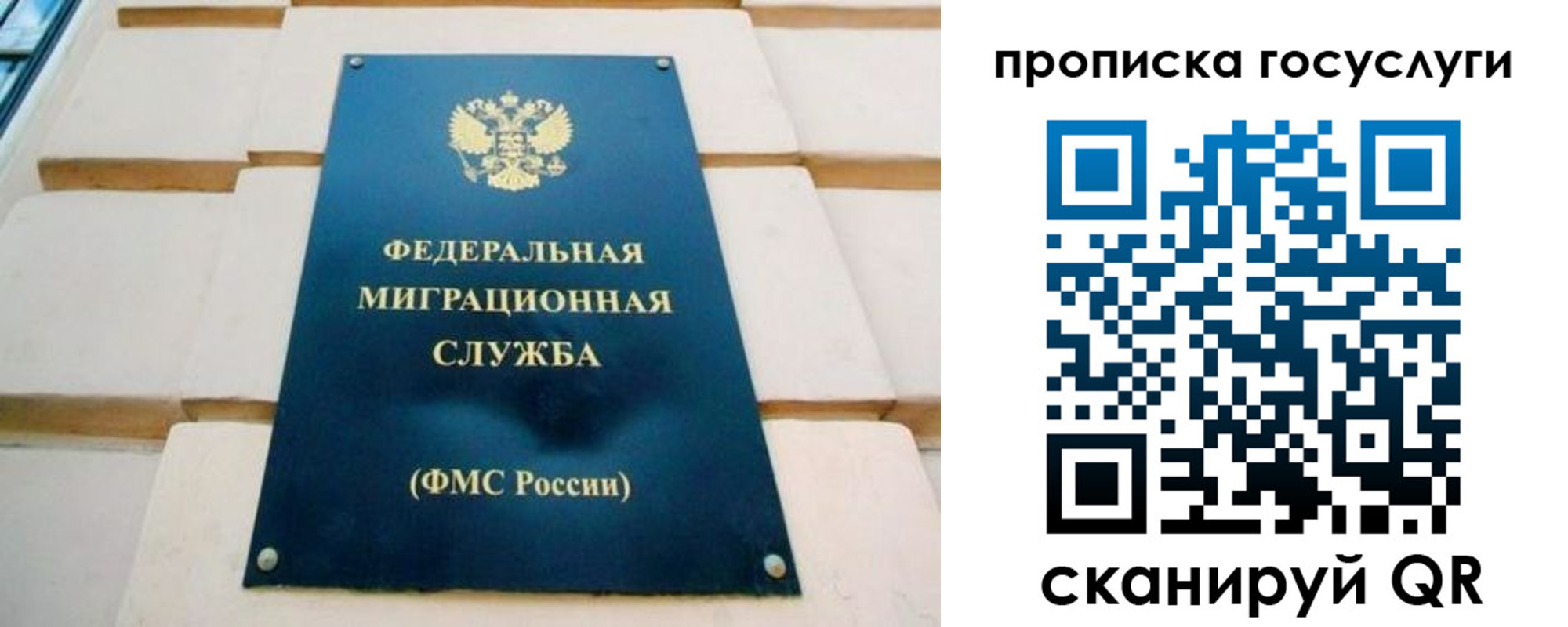прописка поиск в Великих Луках